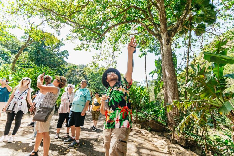 Oahu: Circle Island Tour with Lunch & Waimea Waterfall - Key points at a glance