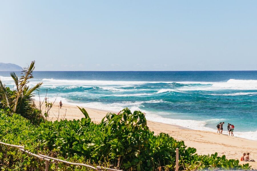 Oahu: Circle Island Tour with Lunch & Waimea Waterfall - Pali Lookout and the Valley of the Temples