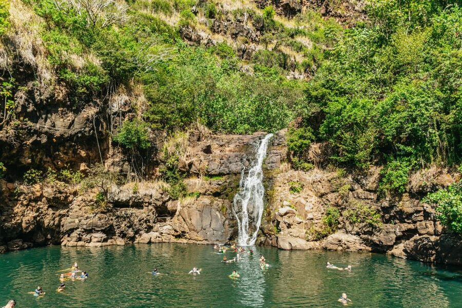 Oahu: Circle Island Tour with Lunch & Waimea Waterfall - Waimea Valley and the waterfall walk