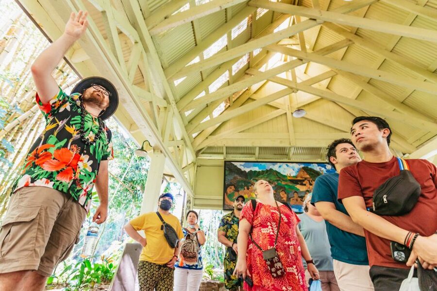 Oahu: Circle Island Tour with Lunch & Waimea Waterfall - Dole Plantation and Honolulu on the return