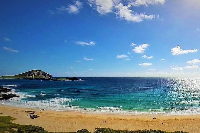 Oahu Circle Island Tour with Turtle Snorkeling— Small-Groups - A North Shore farm lunch with real choices