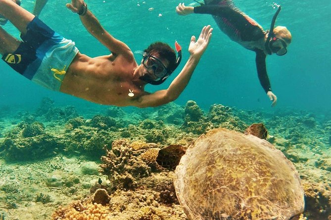 Oahu Circle Island Tour with Turtle Snorkeling— Small-Groups - Diamond Head and Halona Blowhole before the crowds