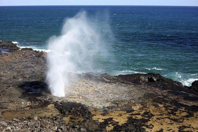 Oahu Circle Island Tour with Waimea Waterfall - Sunset Beach, Pipeline, and Turtle Beach