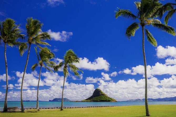 Oahu Circle Island Tour with Waimea Waterfall - The main event at Waimea Valley