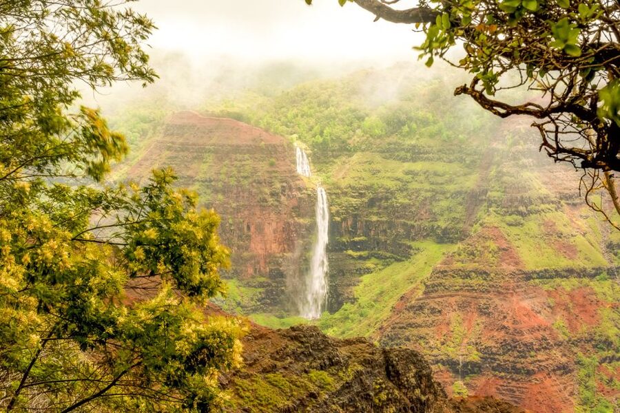 Oahu: Complete Island Tour with Tropical Waterfall Swimming - North Shore surf, sand, and possible turtles