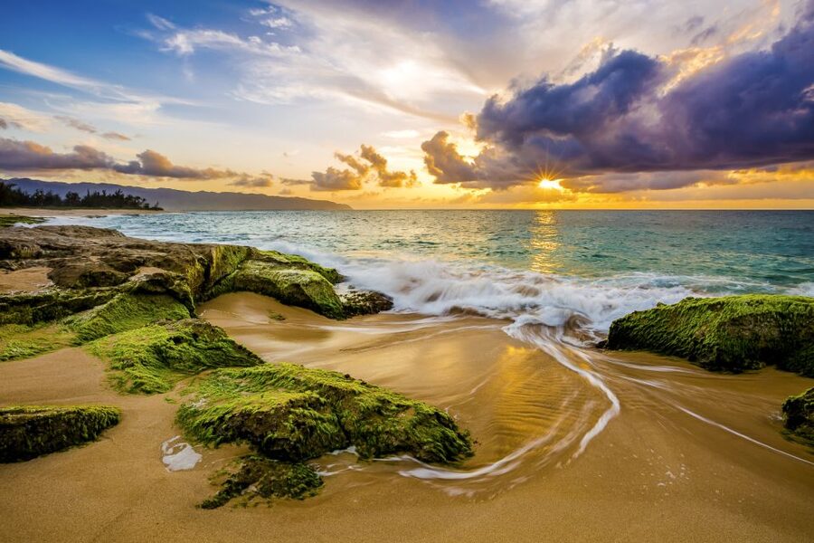 Oahu: Complete Island Tour with Tropical Waterfall Swimming - Kualoa Regional Park and Chinaman’s Hat