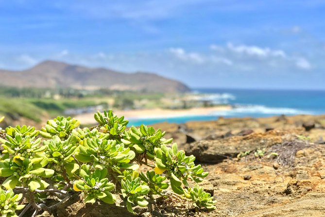 Oahu Custom Private Circle Island and Mini Circle Island Tours - Start with the South Shore: Hanauma Bay and Diamond Head