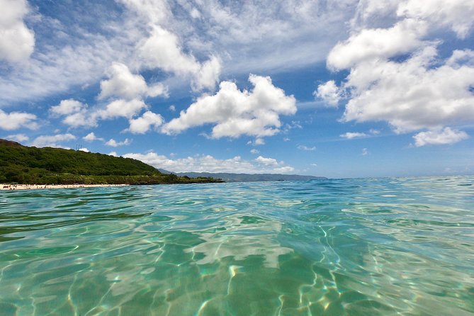 Oahu Custom Private Circle Island and Mini Circle Island Tours - North Shore beaches, waves, and seasonal choices