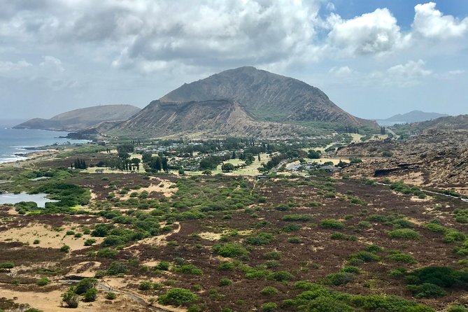 Oahu Customizable Private Community Service Voluntourism Offer - Pineapples, coffee, and easy family stops