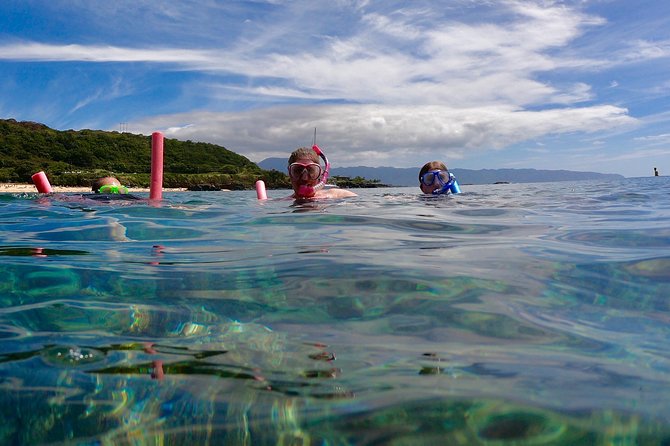 Oahu Customizable Private Community Service Voluntourism Offer - The best ways to build your day