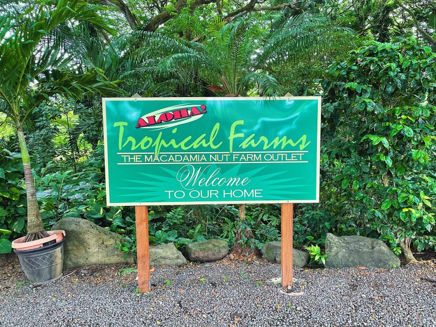 Oahu: Diamond Head Crater Hike and North Shore Experience - Pineapple and Dole Whip at Dole Plantation