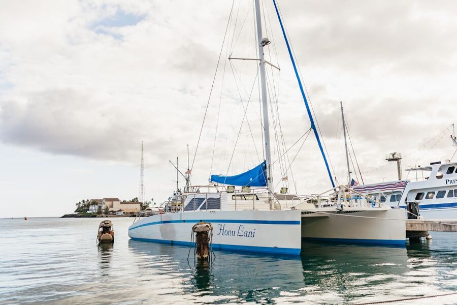 Oahu: Diamond Head Cruise with Drinks & Appetizers - Should you book the Diamond Head sunset cruise?