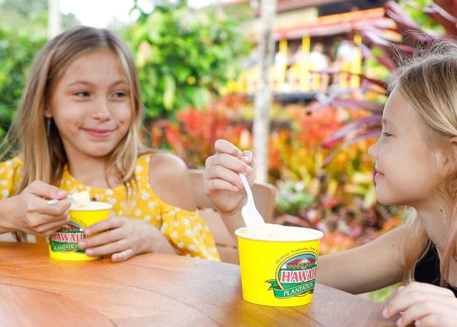Oahu: Dole Plantation & Haleiwa Express Deluxe Tour - Key points to know before you book
