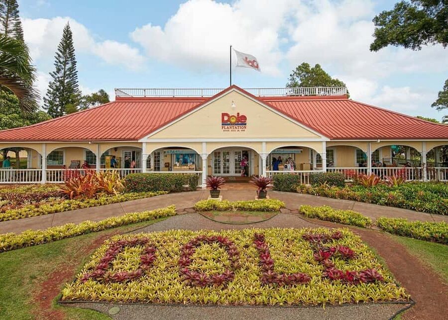 Oahu: Dole Plantation & Haleiwa Express Deluxe Tour - Dole Plantation: pineapple, gardens, and paid attractions