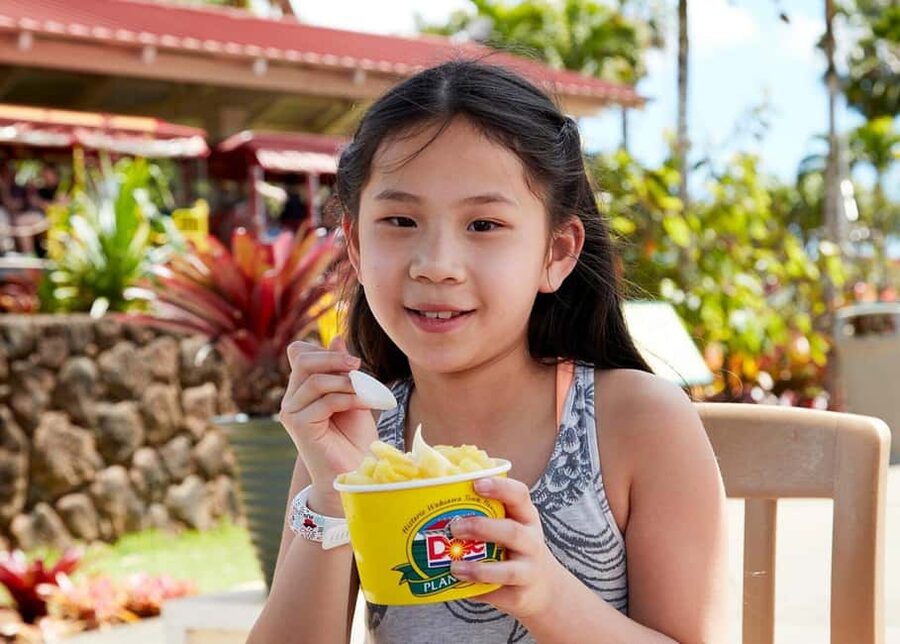 Oahu: Dole Plantation & Haleiwa Express Deluxe Tour - What the guide adds to the day