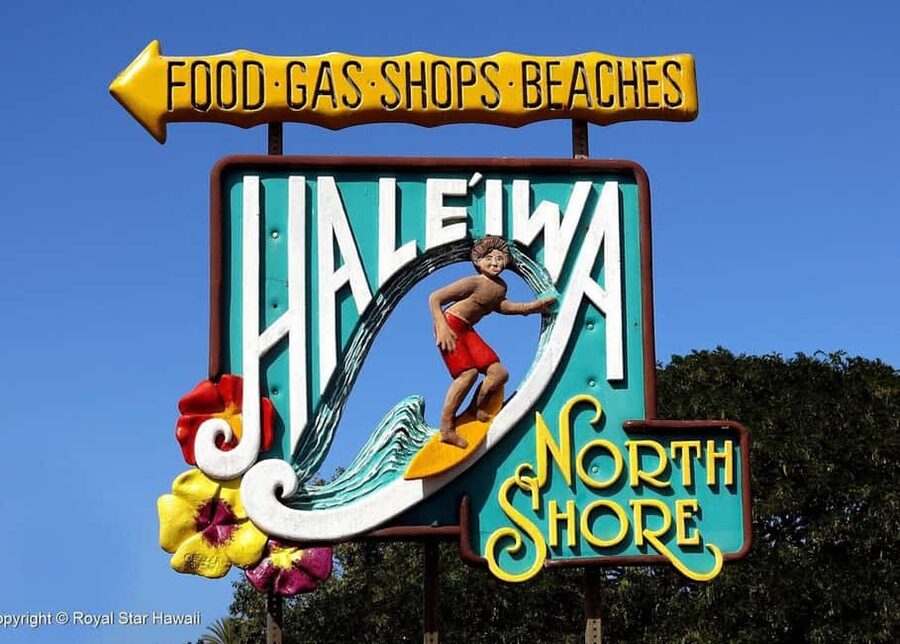 Oahu: Dole Plantation & Haleiwa Express Deluxe Tour - Should you book this Dole and Haleiwa tour?