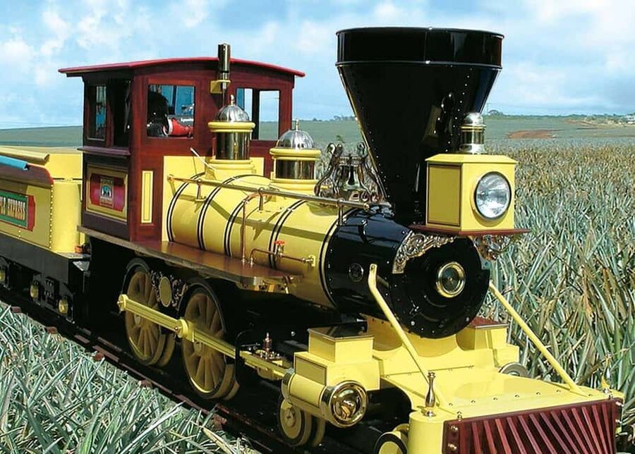 Oahu: Dole Plantation & Haleiwa Express Deluxe Tour - The ride north in a deluxe motorcoach