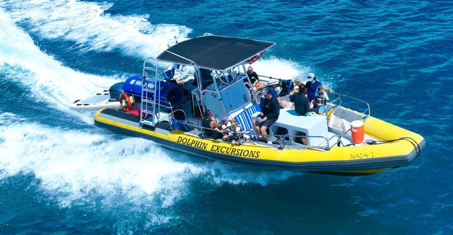 Oahu: Dolphin Swim and Turtle Snorkel Excursion in Waianae - Why the Waianae Coast makes this tour special