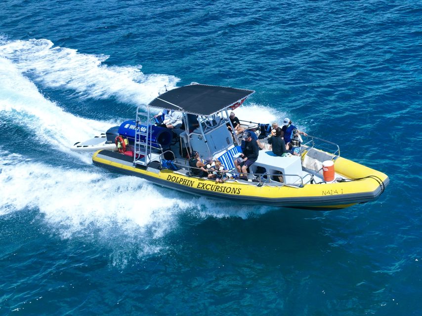 Oahu: Dolphin Swim and Turtle Snorkel Excursion in Waianae - Who should book this Waianae excursion?