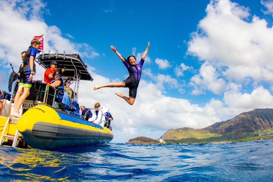 Oahu: Dolphin Swim and Turtle Snorkel Excursion in Waianae - Winter adds a chance to see humpback whales
