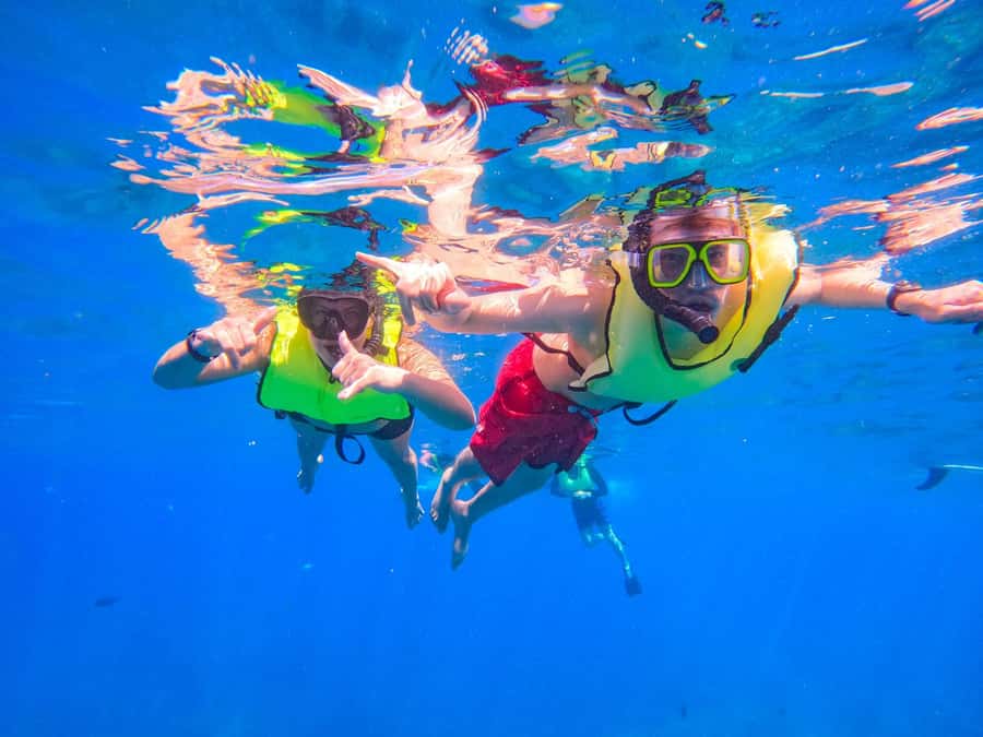 Oahu: Dolphin Watching & Turtle Snorkeling with Waterslide - Getting to Waianae from Waikiki or Ko Olina