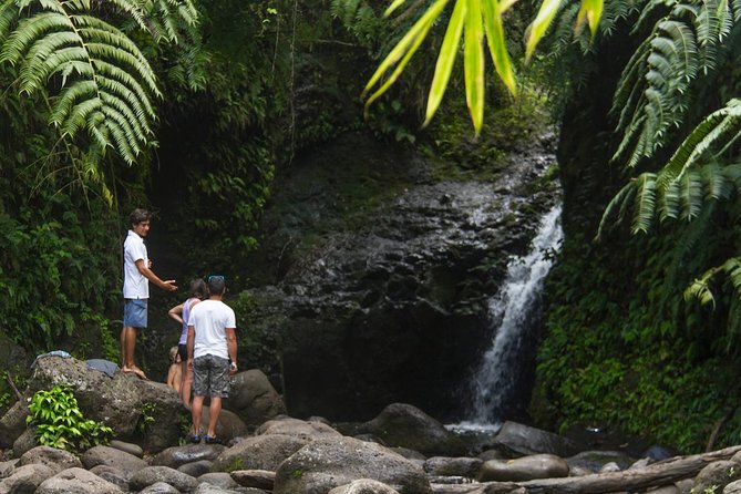Oahu friendly hiking experience - Key Things to Know Before You Hike