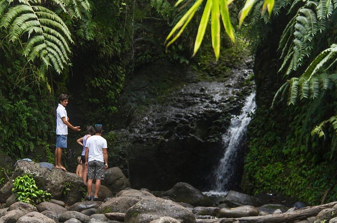 Oahu friendly hiking experience - Maunawili Falls: A Longer Waterfall Option