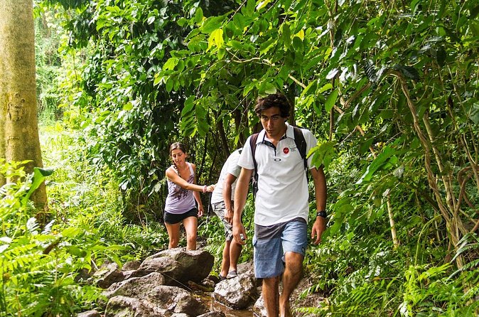 Oahu friendly hiking experience - Kuliʻouʻou Ridge Trail: A Rainforest Walk With More Time
