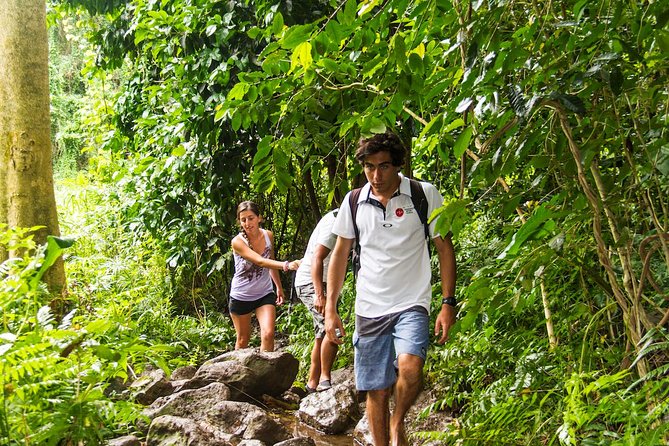 Oahu friendly hiking experience - Manoa Falls: A Lush Start With an Important Question