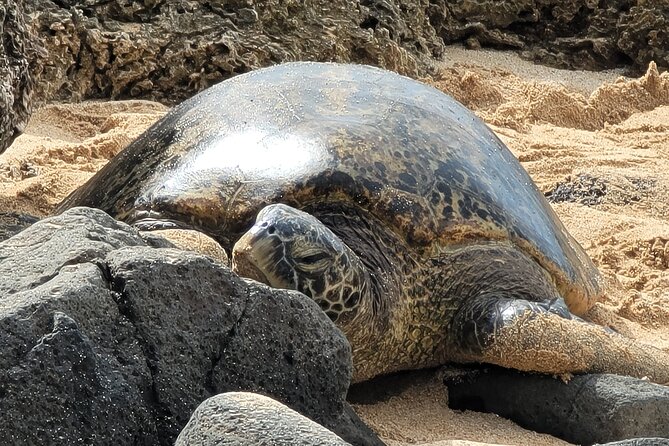 Oahu Fun Circle Island Tour With Pickup - Diamond Head and the first coastal views