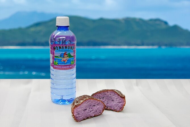 Oahu Grand Circle Island and Haleiwa Tour: 9-Hr Deluxe Experience - Nuʻuanu Pali, views with a historical edge