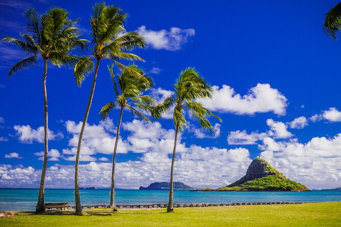 Oahu Grand Circle Island and Haleiwa Tour: 9-Hr Deluxe Experience - Dole Plantation, pineapple stories, and DoleWhip