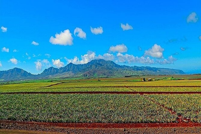 Oahu Grand Circle Island Experience Departing from Kauai - Surf country from Sunset Beach to Waimea