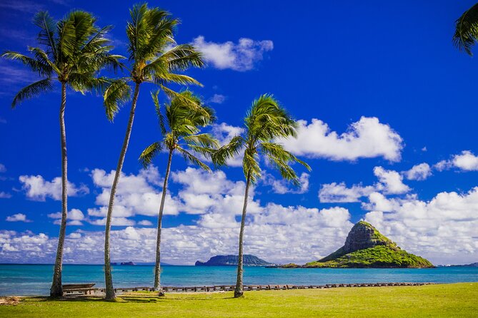 Oahu: Grand Tour Around Island 16 Locations plus Snorkeling - Macadamia nuts, turtles, and Haleiwa