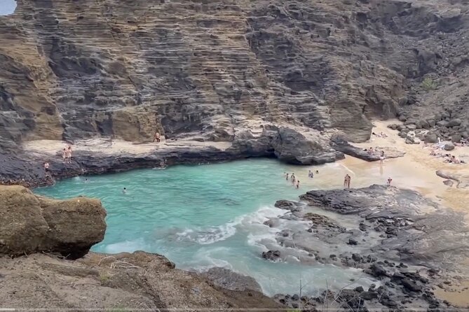 Oahu Guided Circle Island Tour, Swim w/ Turtles, Dole, Blowhole - Turtle Beach: the tour’s biggest promise and biggest uncertainty