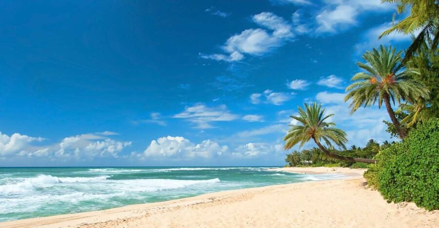 Oahu: Guided Tour of North Shore and Waimea Botanical Garden - What to pack for the day