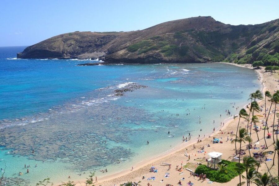Oahu: Guided Tour of North Shore and Waimea Botanical Garden - Who will enjoy this tour most