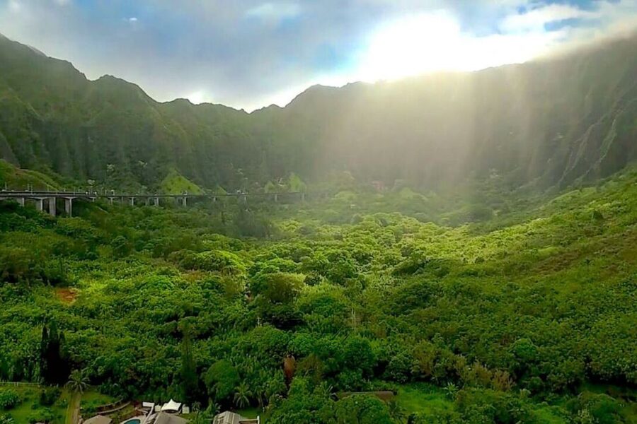 Oahu: Guided Tour of North Shore and Waimea Botanical Garden - Early Waikiki pickup and the road out