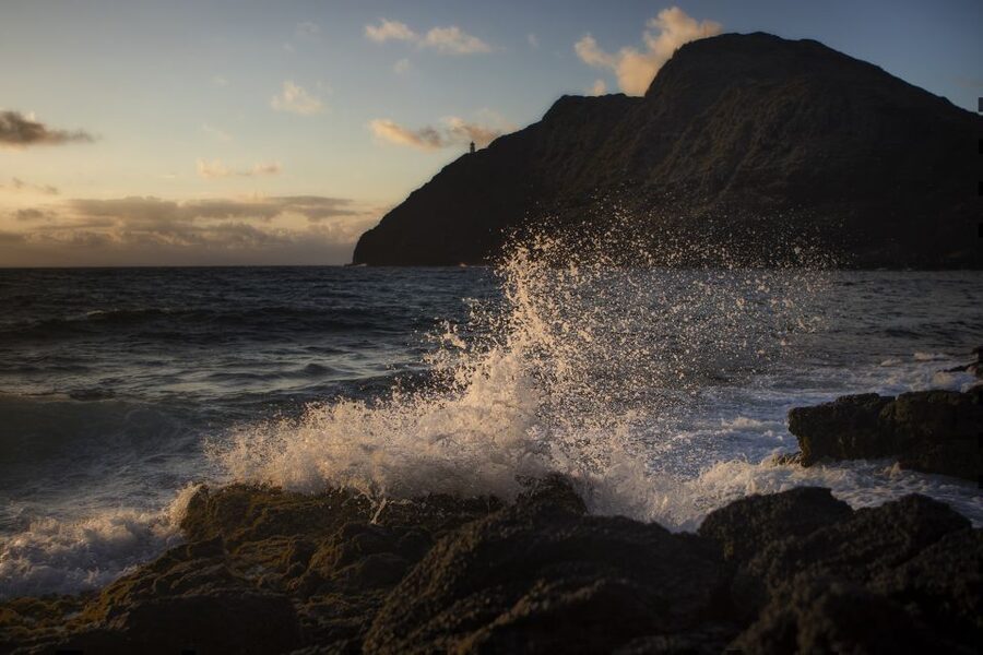 Oahu: Half-Day Sunrise Semi-private Tour from Waikiki - Why this early Oahu outing works