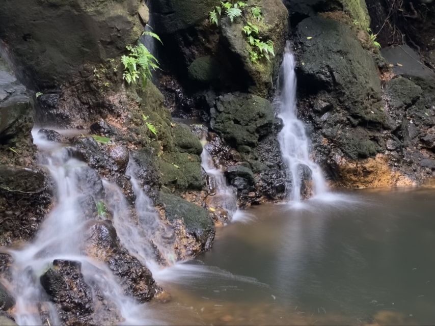 Oahu: Half-Day Sunrise Semi-private Tour from Waikiki - A white sand beach away from Waikiki
