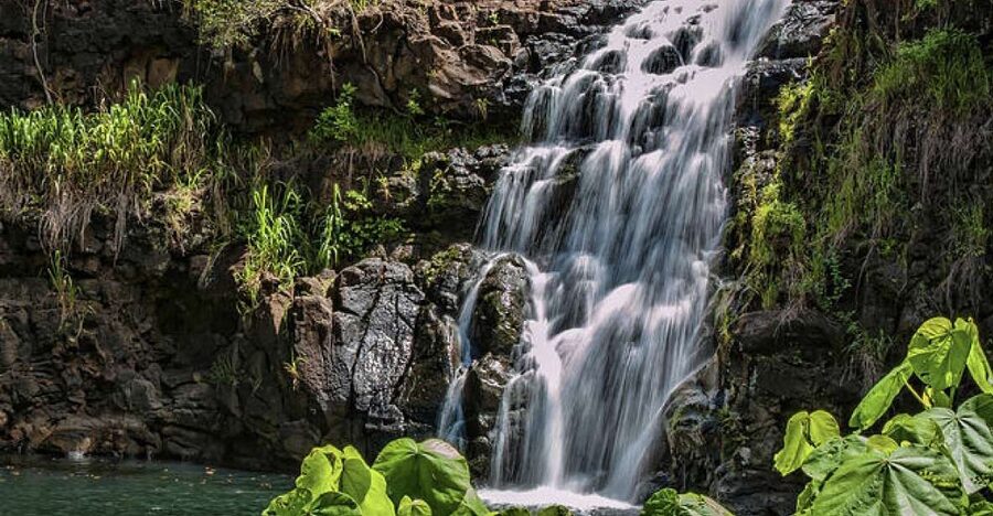 Oahu Hidden Gems & Waimea Botanical Garden/Waterfall tour - Waimea Valley, the heart of the day