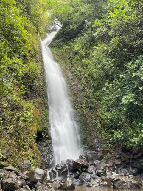 Oahu: Hidden Hawaii Waterfall Hike and Beach Tour - Key points at a glance