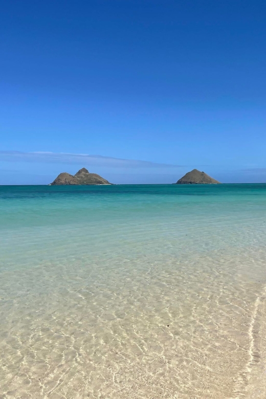 Oahu: Hidden Hawaii Waterfall Hike and Beach Tour - Why this four-hour Oahu outing works