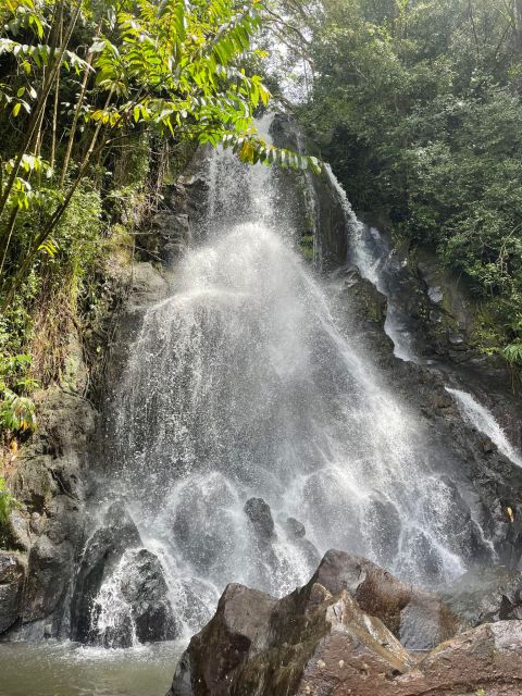 Oahu: Hidden Hawaii Waterfall Hike and Beach Tour - What the guide adds beyond transportation