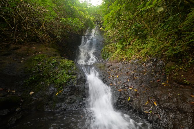Oahu Hidden Waterfall Hike: A Tropical Paradise Adventure - Key points at a glance