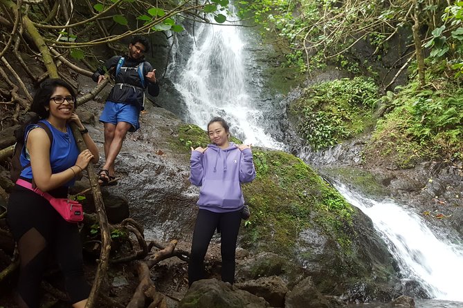 Oahu Hidden Waterfall Hike: A Tropical Paradise Adventure - Likeke Falls delivers a short rainforest payoff