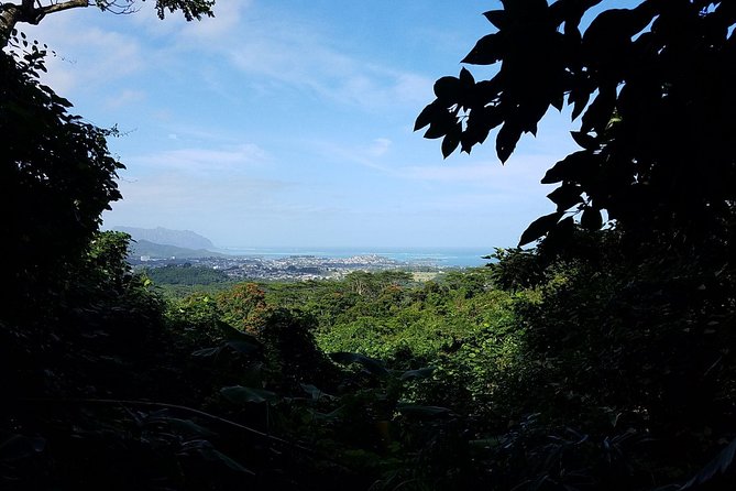 Oahu Hidden Waterfall Hike: A Tropical Paradise Adventure - The waterfall stop is scenic, not a full water adventure