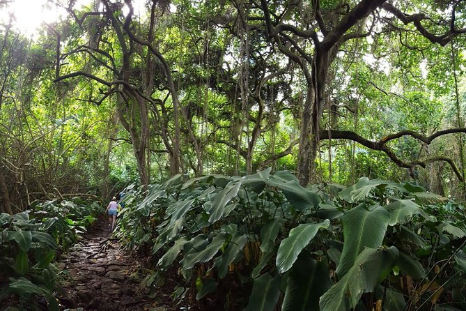 Oahu Hidden Waterfall Hike: A Tropical Paradise Adventure - Who will enjoy this Oahu hike most?