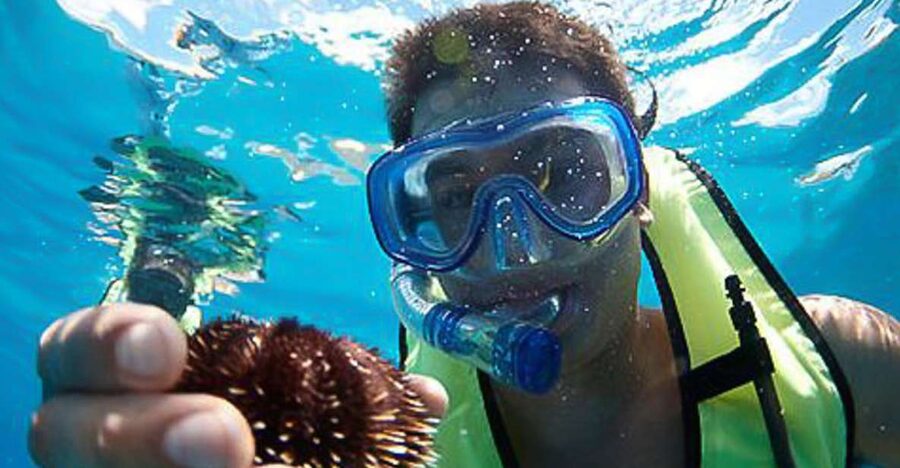 Oahu: Hilton Hawaiian Village Snorkel Tour - Key points to know before booking