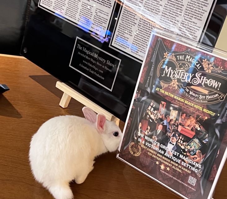 Oahu: Hilton Waikiki Beach Hotel Magical Mystery Show - Why the small room changes the magic